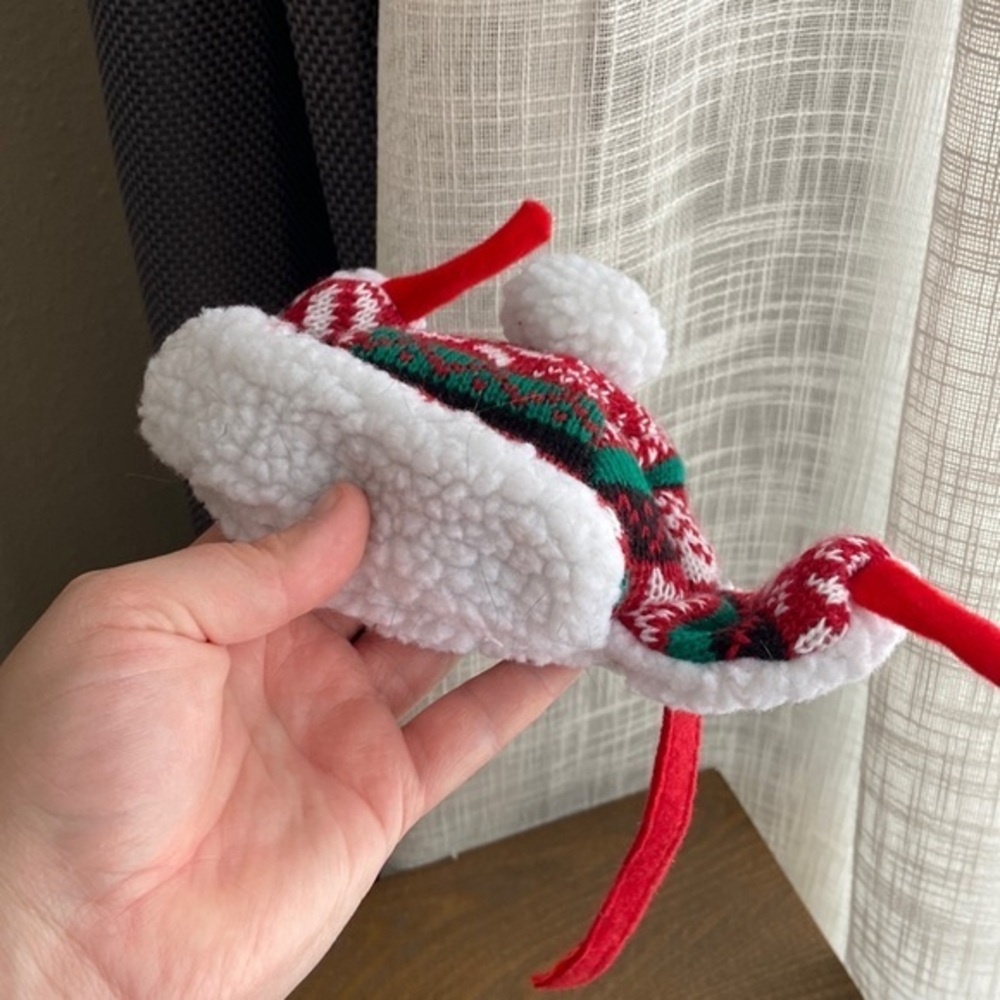 Fun hat for your cat or small dog